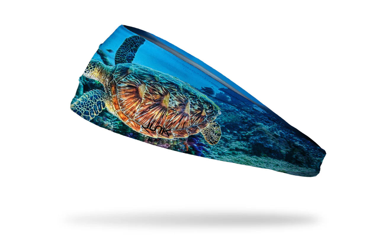TROPICAL TURTLE BIG BANG LITE