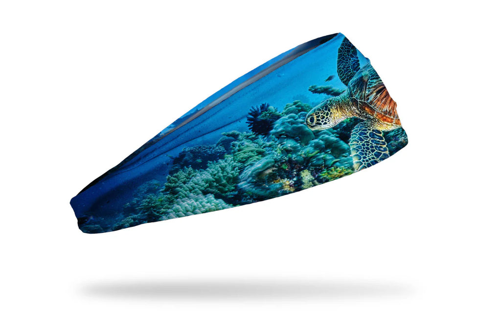 TROPICAL TURTLE BIG BANG LITE